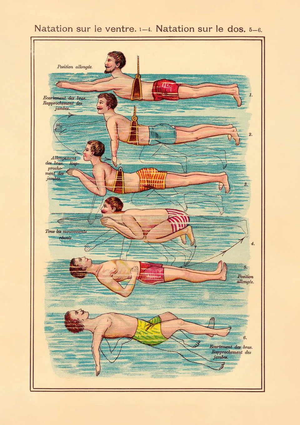 The Swimmer Vintage Print