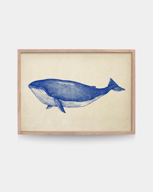 Antique Blue Whale