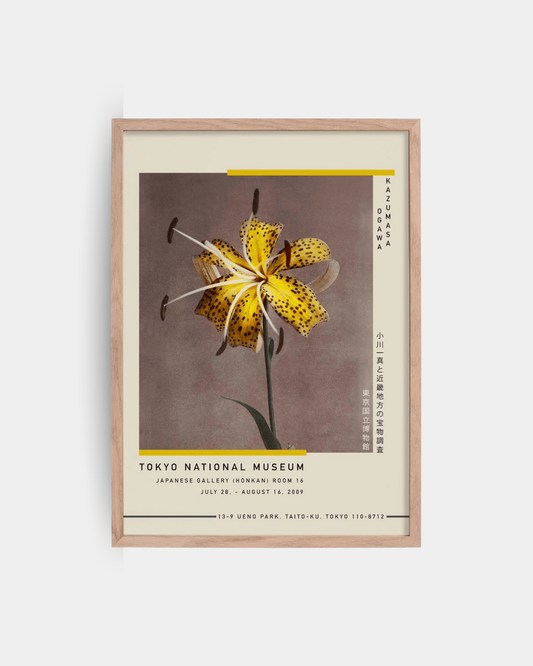 Yellow Lily BY Kazumasa Exhibition