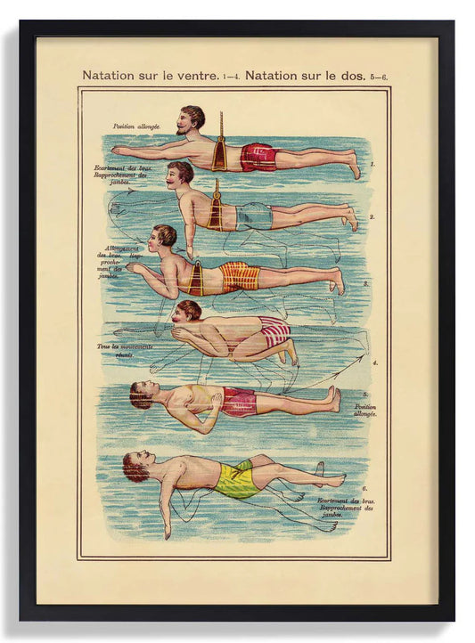 The Swimmer Vintage Print
